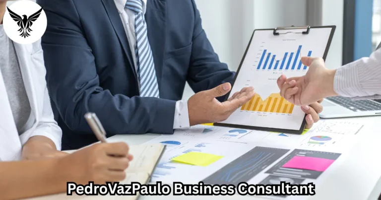 pedrovazpaulo business consultant